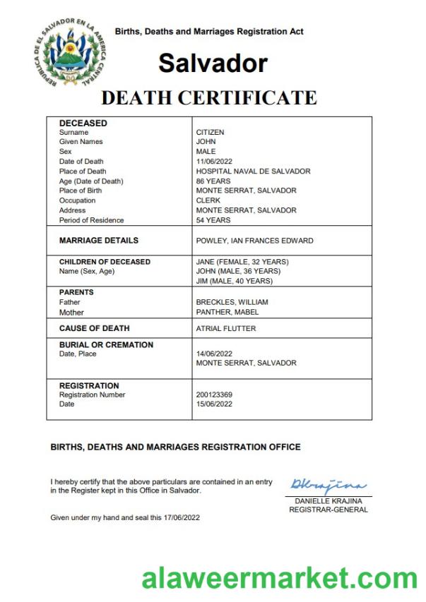 Salvador vital record death certificate Word and PDF template